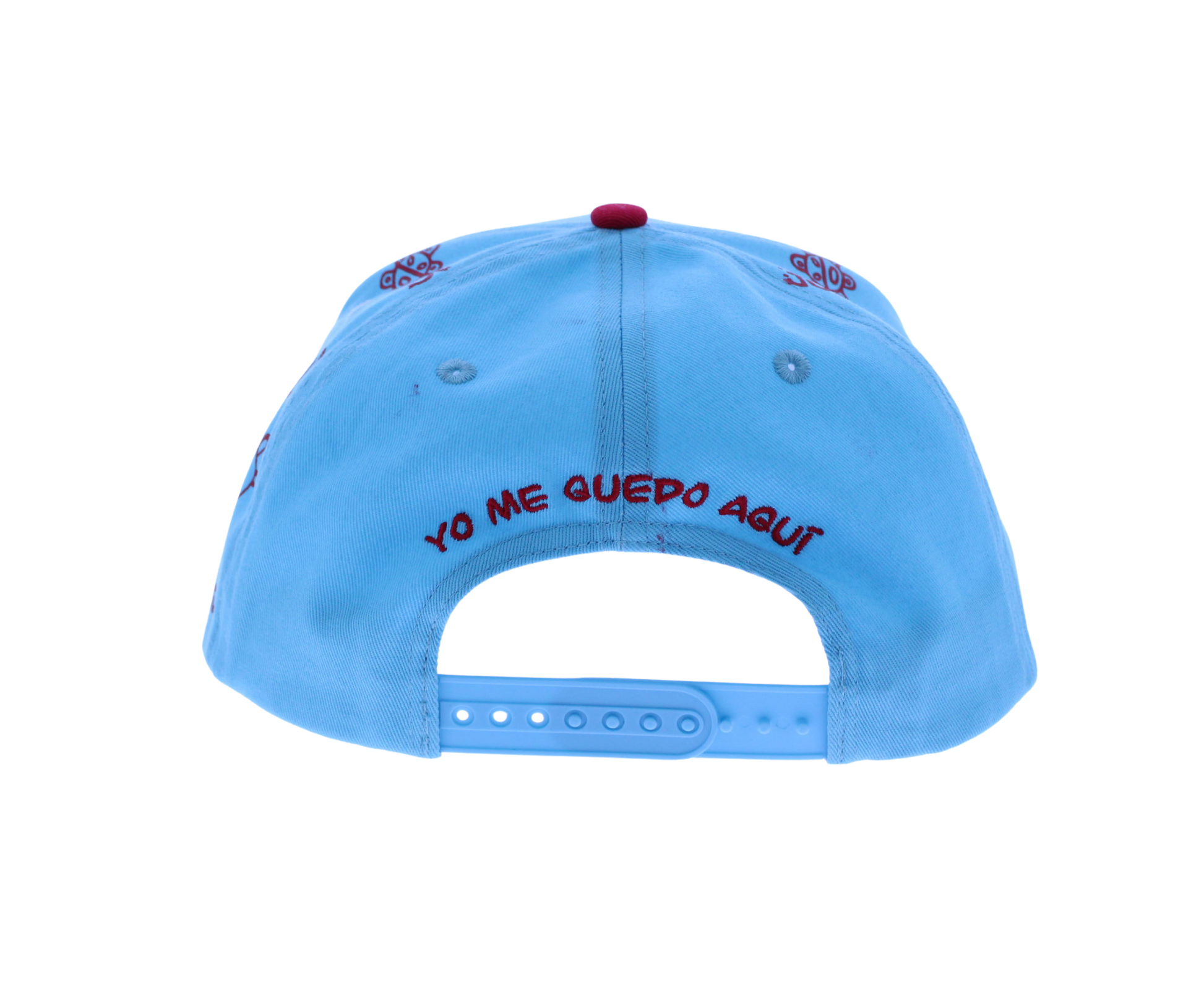 PR embroidered hat