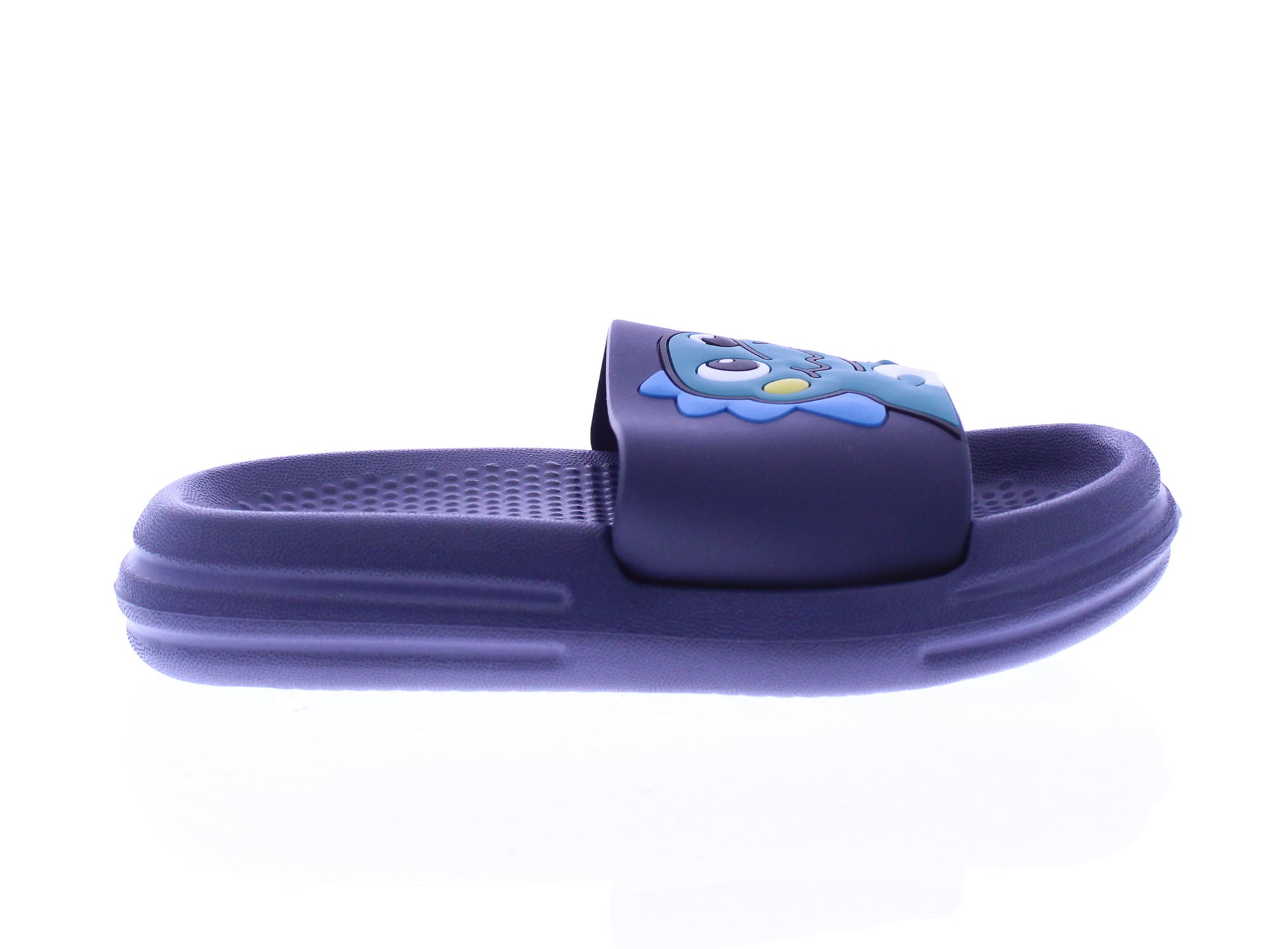 Kids Dinosaur Print Slide