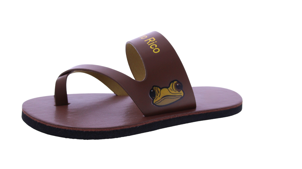 Kids Sapo Concho Puerto Rico Slide
