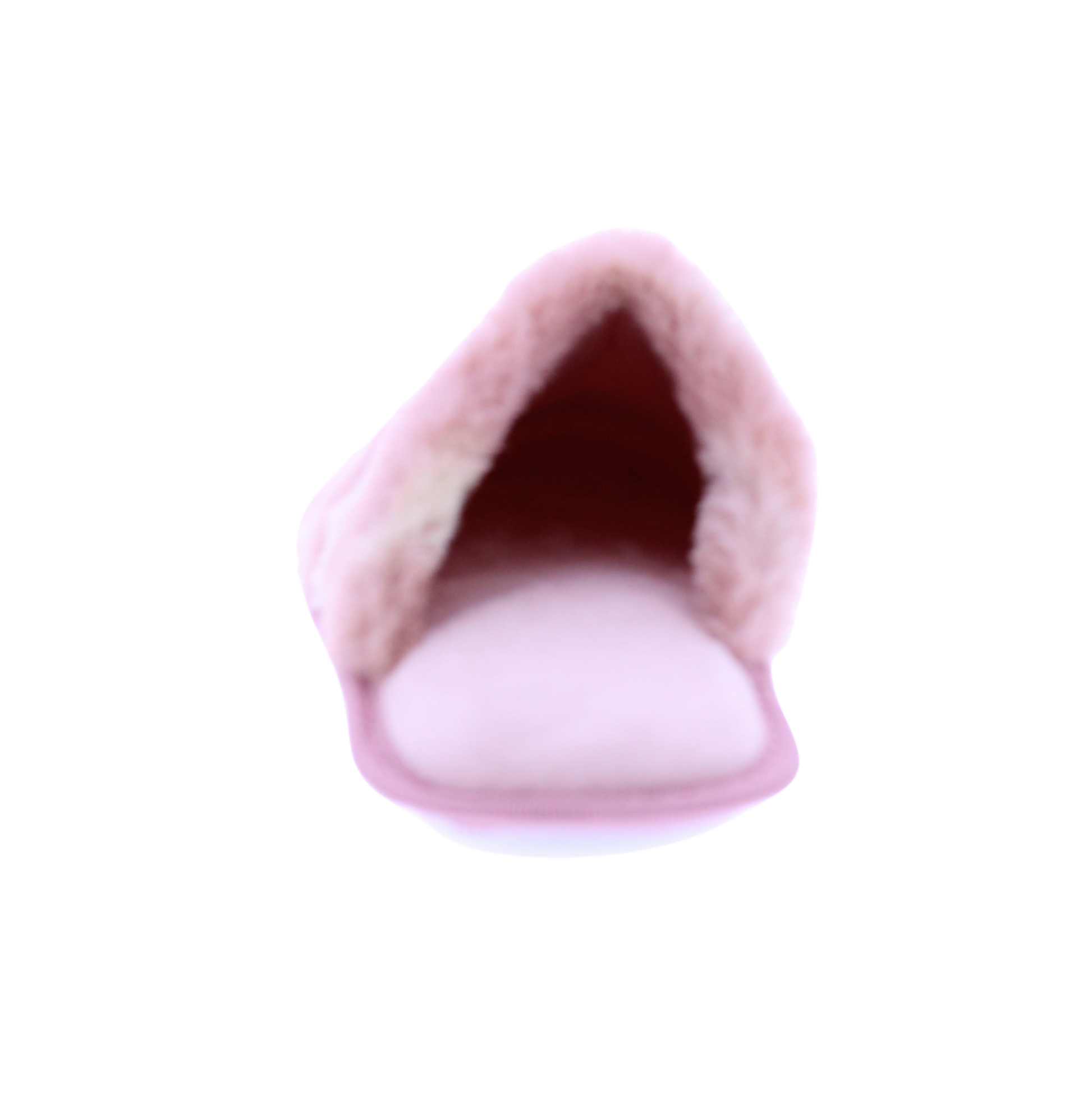 Women Plush Closed Toe Slipper