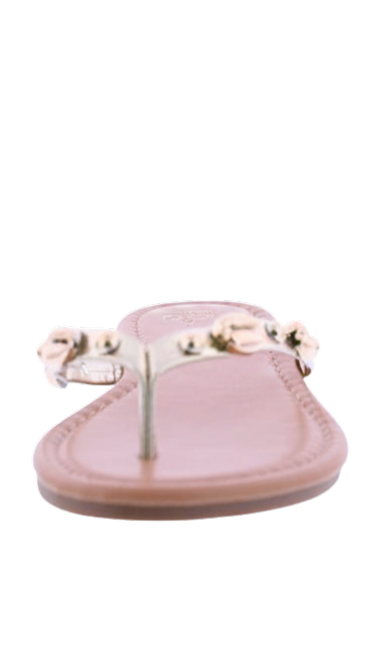 Women's Shell Embellished Flip Flops