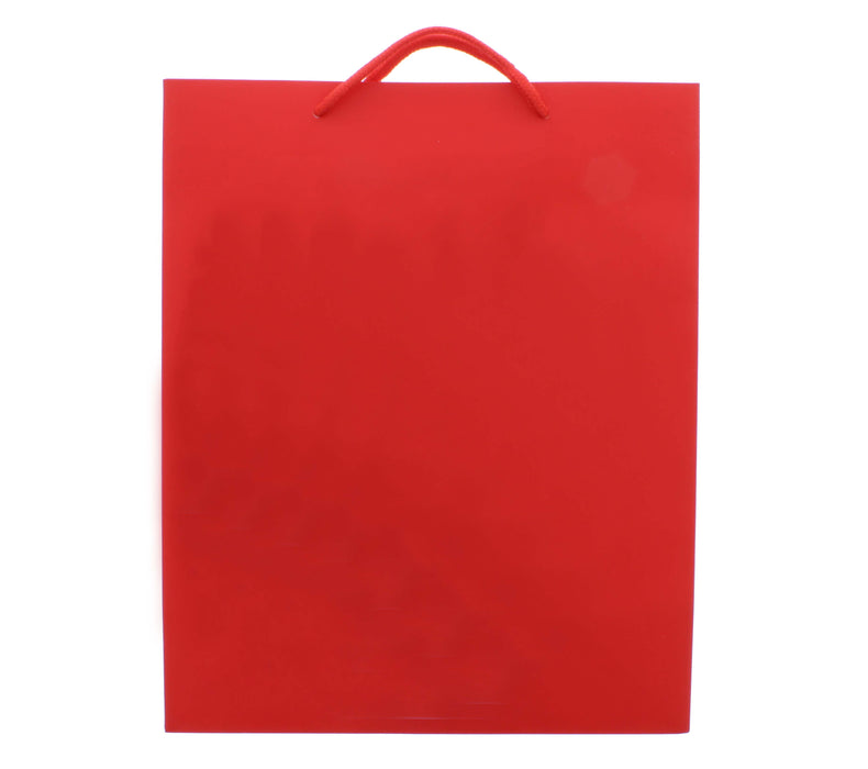 13” x 10” Gift Bag