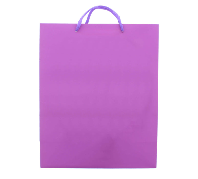 13” x 10” Gift Bag